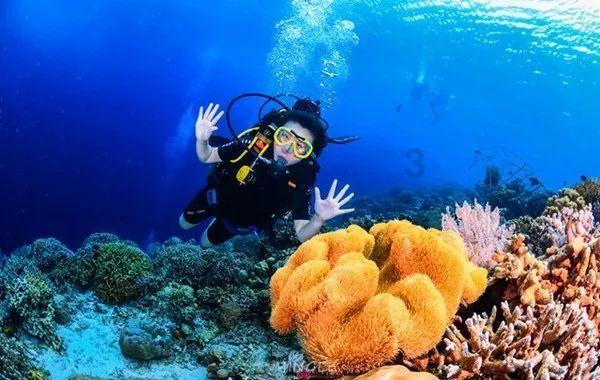3月1日起，太原住房公积金“商转公”时间限制拟放开