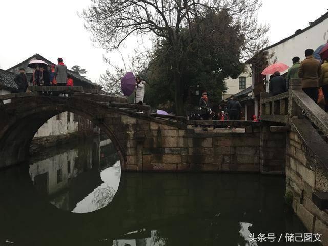 逃离神秘树屋